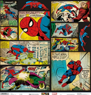 Marvel - Spiderman 12 x 12 Cardstock - Single Side