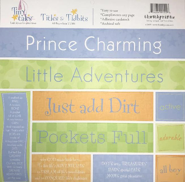 Tiny Tales -All Boy Title & Tidbits Adhesive Cardstock Stickers